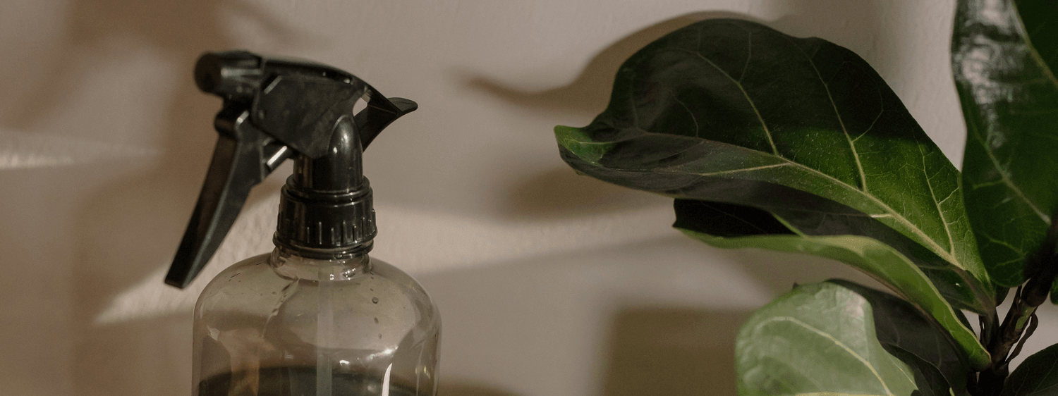 Good Quality Cleaning